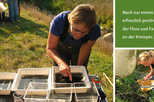 Pro Gewässer - Nach nur einem Jahr: erfreulich positive Entwicklung der Flora und Fauna an der Kremper Au - Landesverband der Wasser- und Bodenverbände